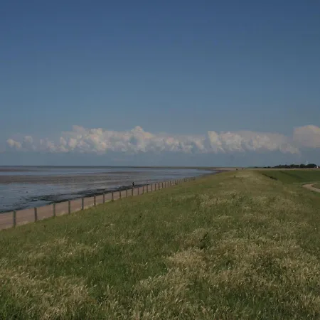 Comfy Chalet With Dishwasher, Near The Wadden Sea Chalet *